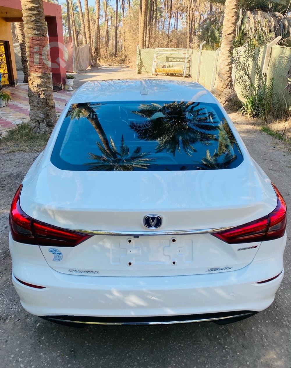 چانگان ئێدۆ